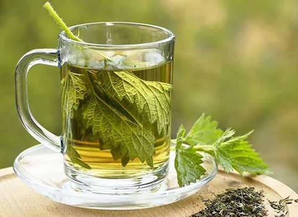 تصویر 4 از فروش عرق گزنه اصل + قیمت خرید به صرفه